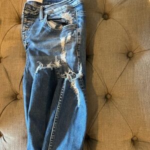 Distressed Flying Monkey Skinny Jeans